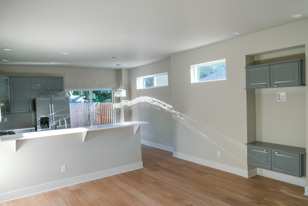 Skinny houses dining room 