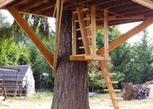 Tree House