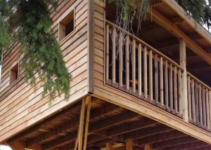 Treehouse