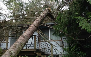 Storm Damage
