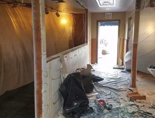 The Rosebud Cafe – New Look in Progress