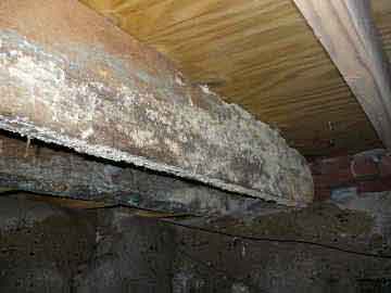 Dry Rot Damage